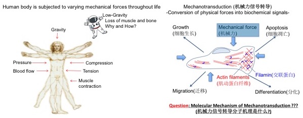 Lab intruduction figure for website.jpg